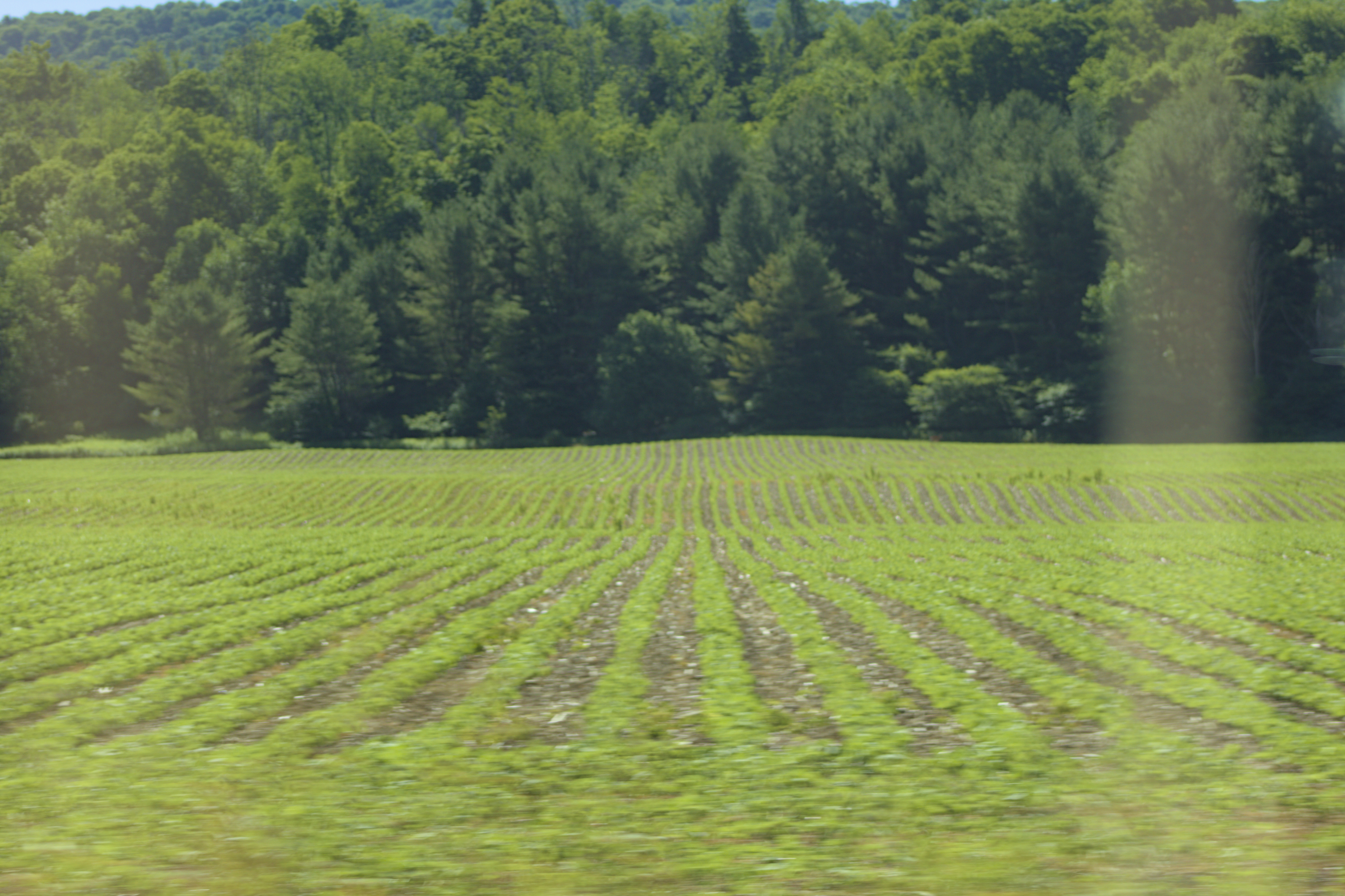 nature and landscape photo